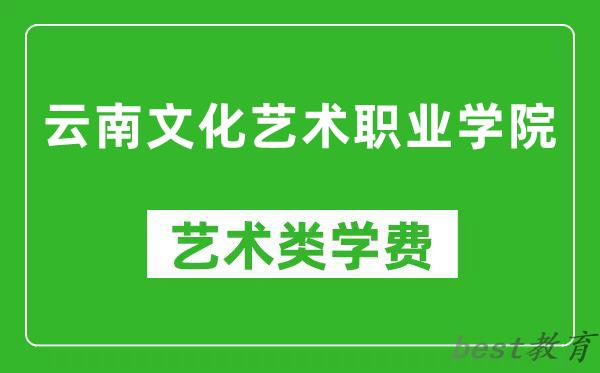 云南文化艺术职业学院艺术类学费多少钱一年（附各专业收费标准）