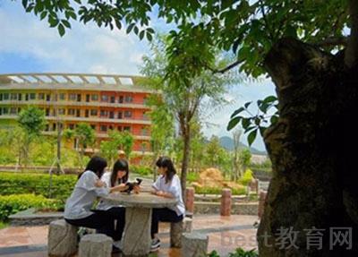云南宝玉石鉴定与加工技术专业学校招生