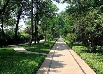 益阳乐康护理职业技术学校