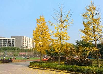 郑州音乐艺术中等专业学校