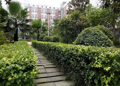 桃江县扬帆职业技术学校