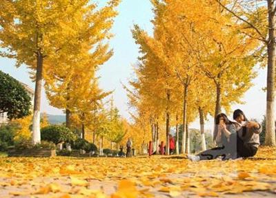 保定市职业技术教育中心