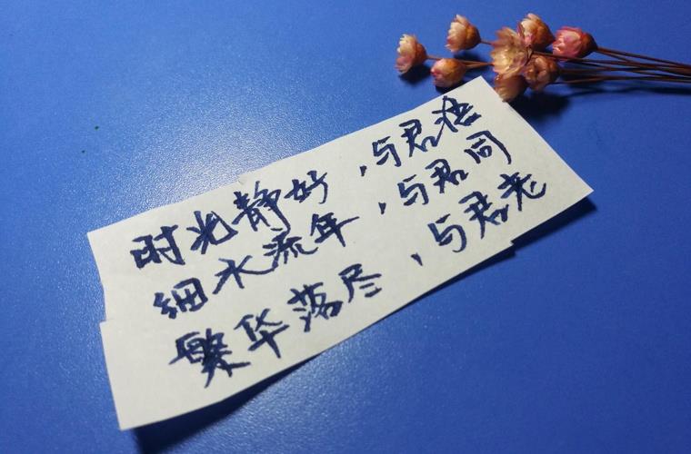 大连市皮口卫生学校怎么样 环境好不好