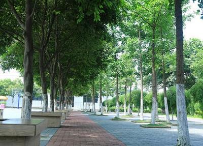 沈阳市新民技校怎么样 学校正规吗