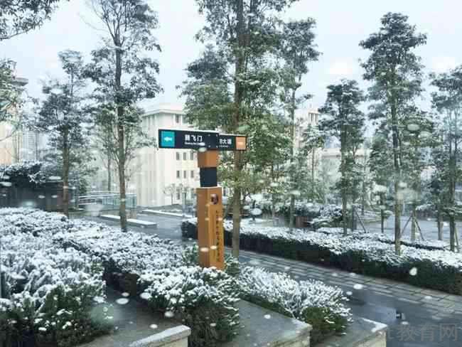巴中职业技术学院五年制大专2023年招生专业有哪些