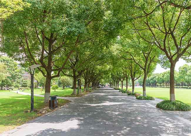 重庆科能高级技工学校模具技术应用专业主要学什么课程