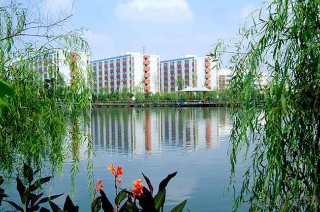 重庆市农业学校有计算机专业吗